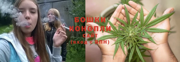 крисы Армянск