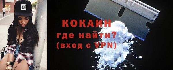 спиды Арсеньев