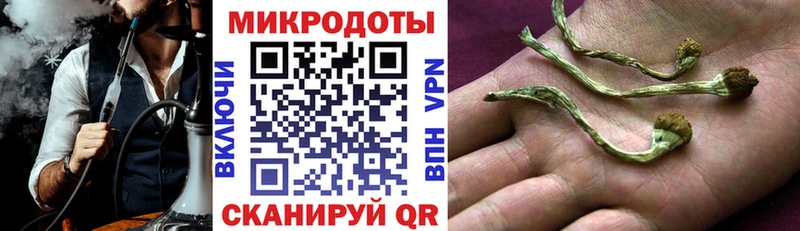 наркота  Усть-Джегута  Галлюциногенные грибы прущие грибы 
